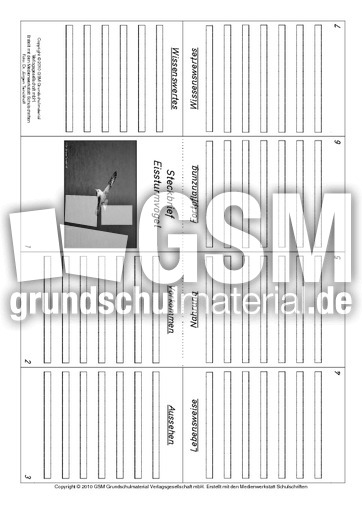Faltbuch-Eissturmvogel.pdf